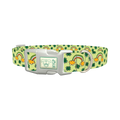 Leprechaun Rainbow Dog Collar - plastic silver