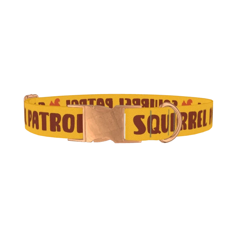 Yellow Squirrel Dog Collar - metal rose gold