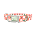 Peace Floral Dog Collar - plastic rose gold