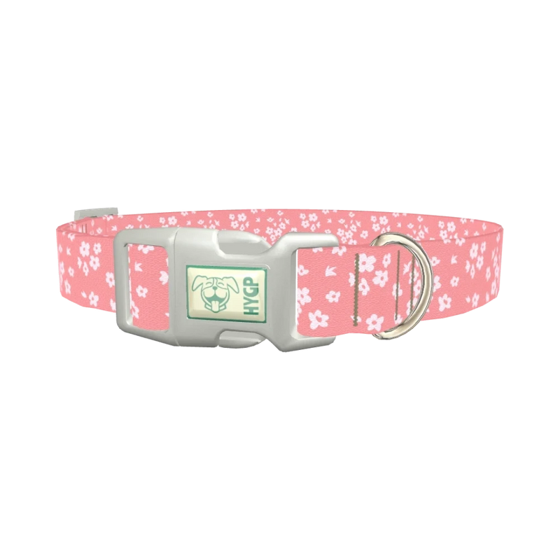 Floral Blossom Dog Collar - plastic silver