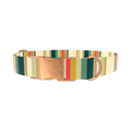 Striped Hexagon Dog Collar - metal silver