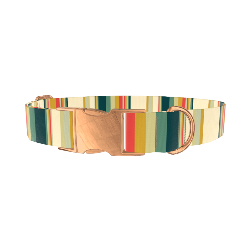 Striped Hexagon Dog Collar - metal silver