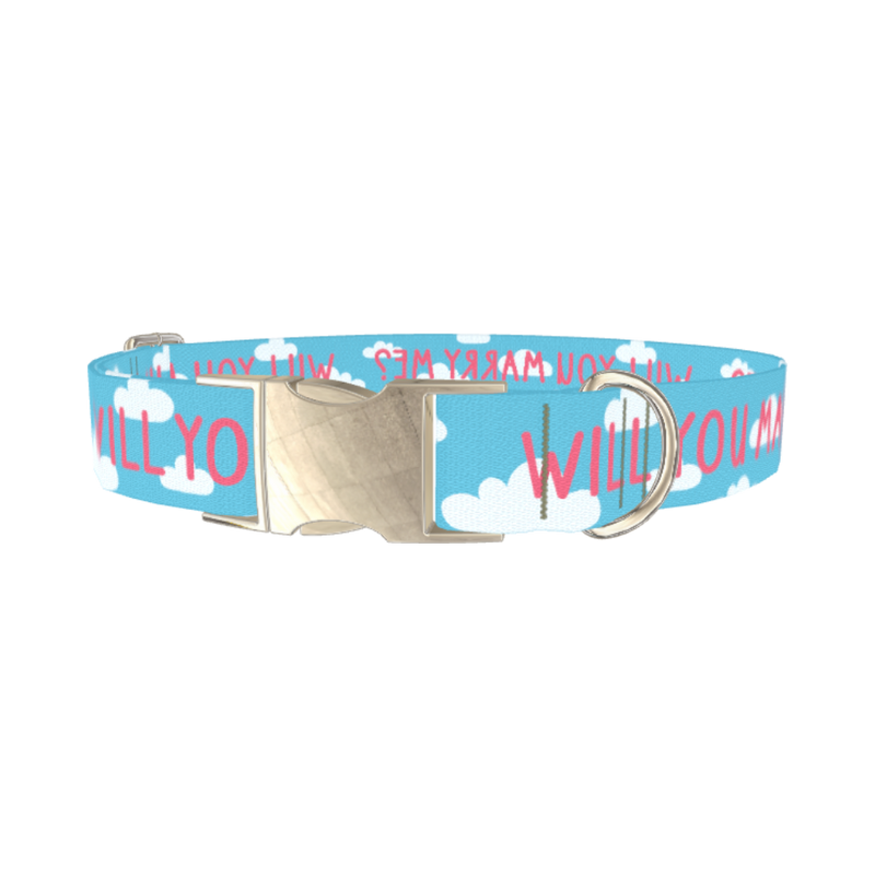 Cloud Phrase Dog Collar - metal silver
