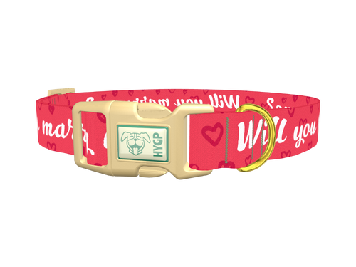 Heart Phrase Dog Collar