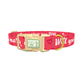 Heart Phrase Dog Collar - plastic gold