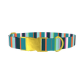 Bright Stripe Dog Collar - metal gold