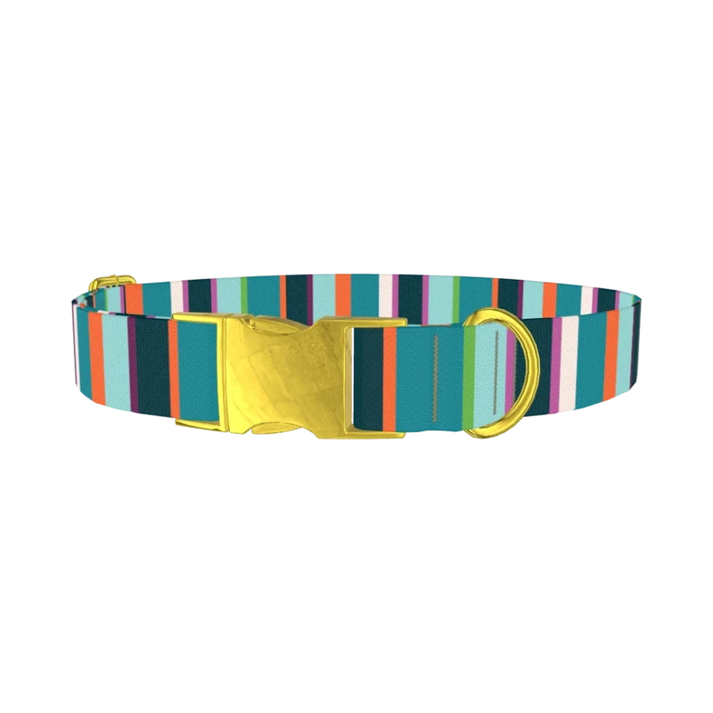Bright Stripe Dog Collar - metal gold