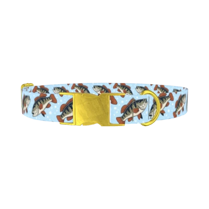 Bass Fish Dog Collar - metal gold