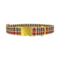 Green Red Tartan Dog Collar - metal gold