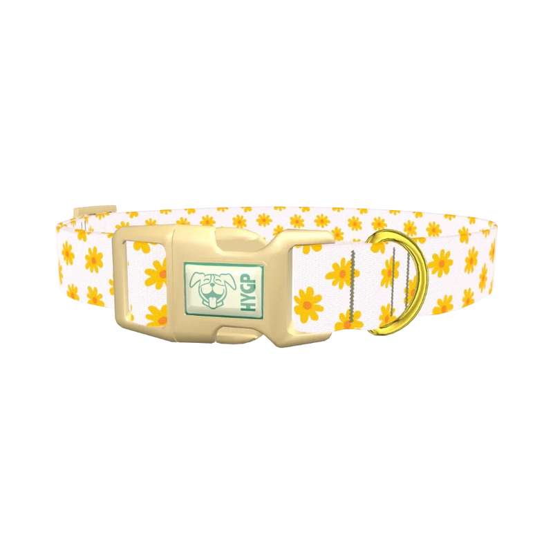 Yellow Daisy Dog Collar - plastic gold