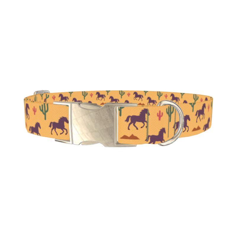 Western Desert Horse Dog Collar - metal silver