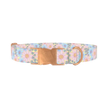 Floral Spiral Dog Collar - metal rose gold