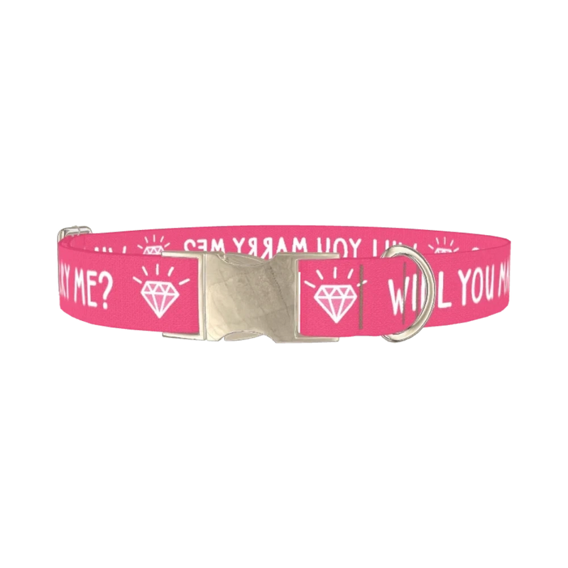 Will You Marry Me Diamond Dog Collar - metal silver