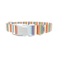 Rainbow Stripe Dog Collar - plastic rose gold