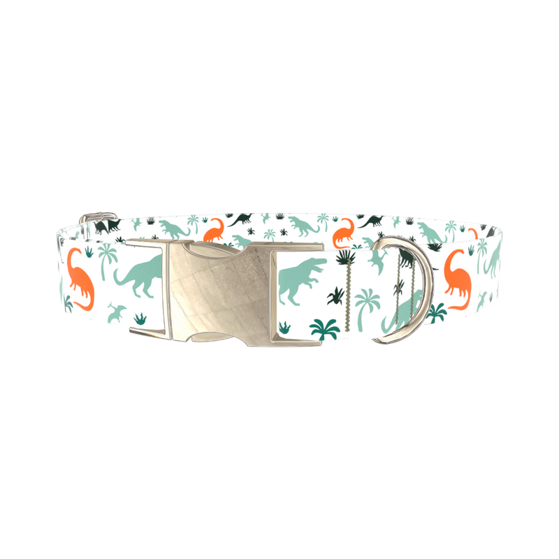 Dinosaur Jungle Dog Collar - metal silver
