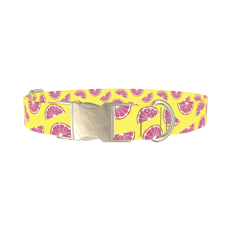 Grapefruit Slice Dog Collar - metal silver