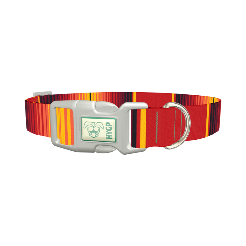 Mexican Red Stripe Dog Collar - plastic silver