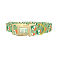 St. Patrick's Flag Dog Collar - plastic gold