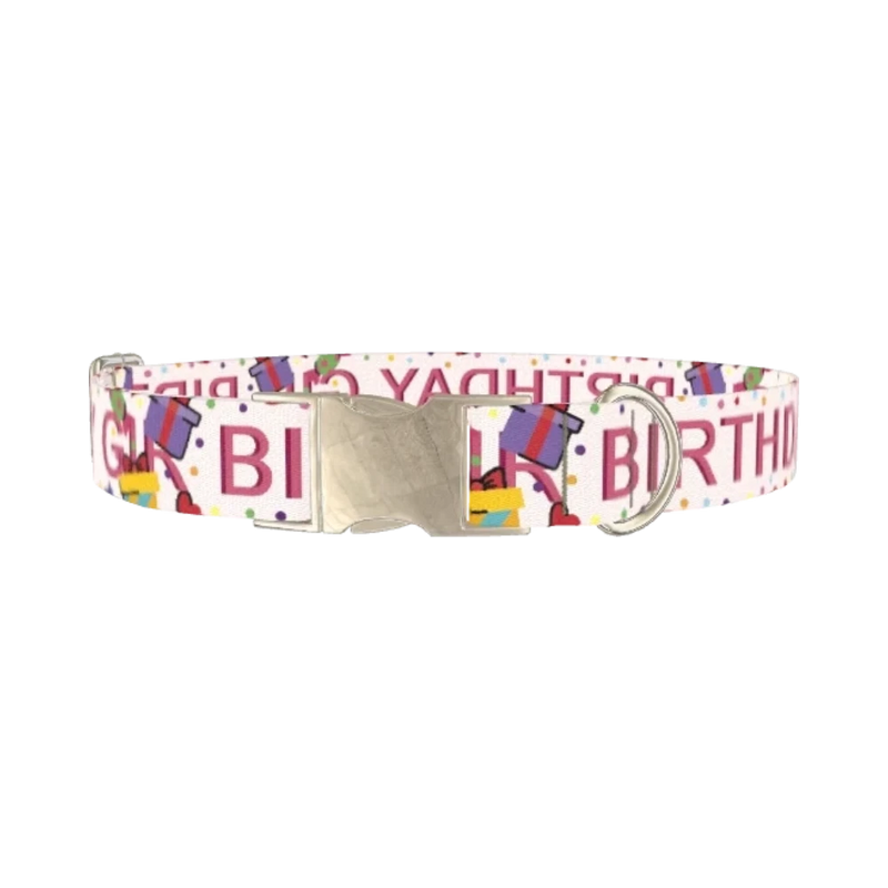Birthday Celebration Dog Collar - metal silver