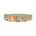 Colorful Heart Dog Collar - metal rose gold