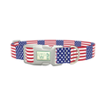 Patriotic American Flag Dog Collar - plastic silver