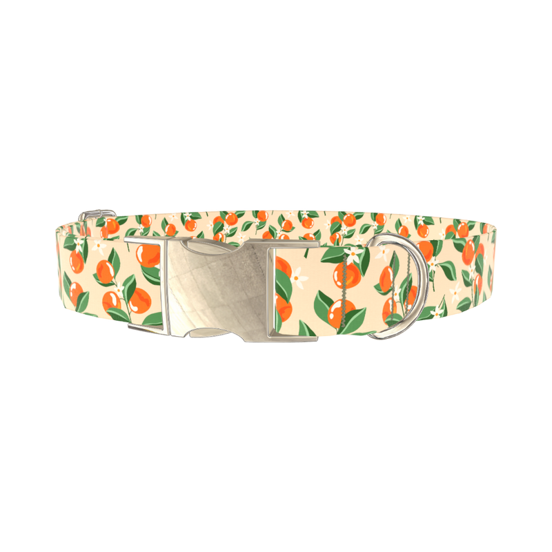 Floral Fruit Dog Collar - metal gold