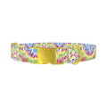 Multicolor Tie-Dye Dog Collar - metal gold