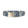 Football Sports Dog Collar - metal silver