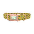 Western Ranch Dog Collar - plastic rose gold