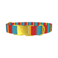 Red Turquoise Stripe Dog Collar - metal gold