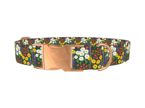 Meadow Bloom Dog Collar