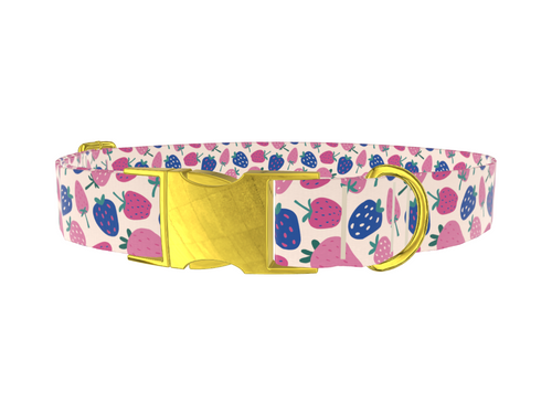 Fruit Strawberry Dog Collar