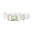 Rainbow Polka Dot Dog Collar - plastic silver