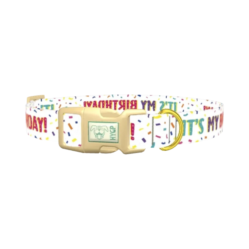 Birthday Confetti Dog Collar - plastic gold