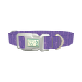 Purple Bow Pattern Dog Collar - plastic silver