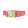 Pink Stripes Dog Collar - plastic gold