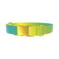 Gradient Color Dog Collar - metal gold
