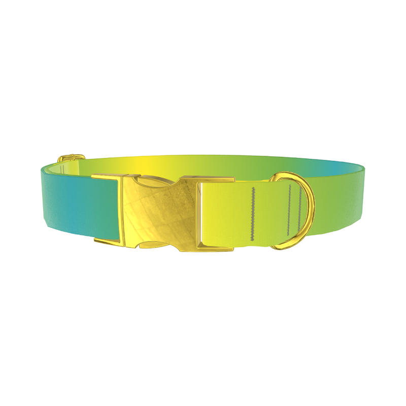 Gradient Color Dog Collar - metal gold