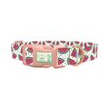 Watermelon Fruit Dog Collar - plastic rose gold