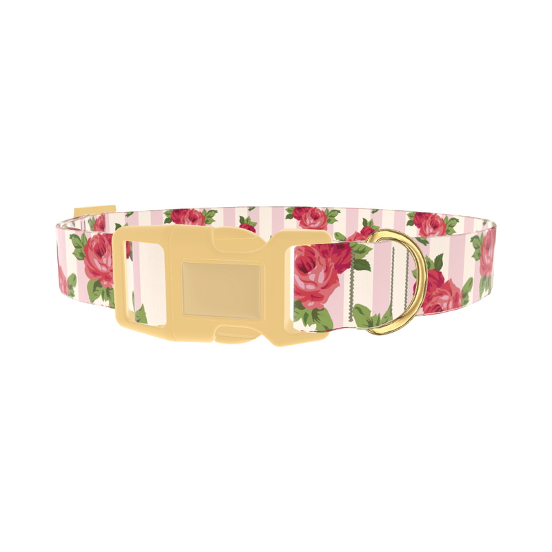 Striped Rose Pattern Dog Collar - plastic gold