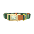 Woven Stripe Dog Collar - plastic gold