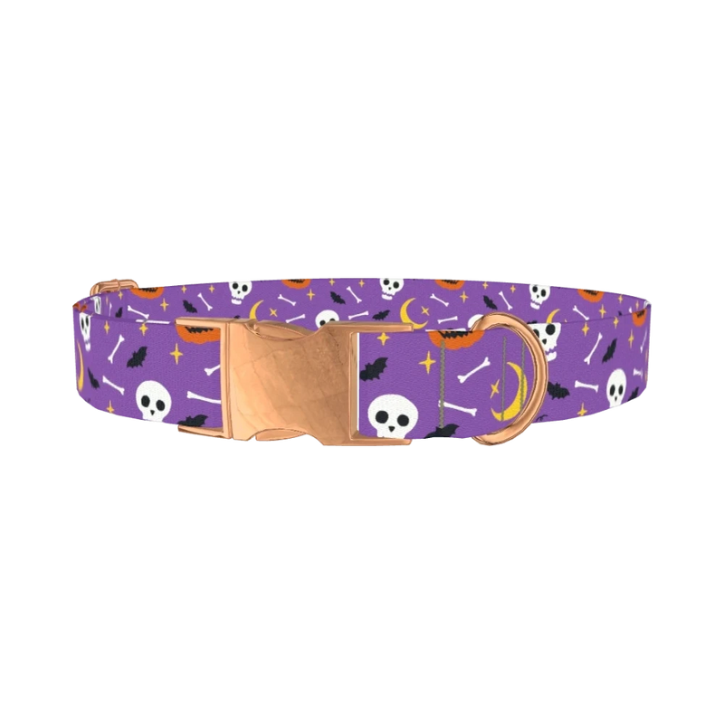 Halloween Moon Dog Collar - metal rose gold