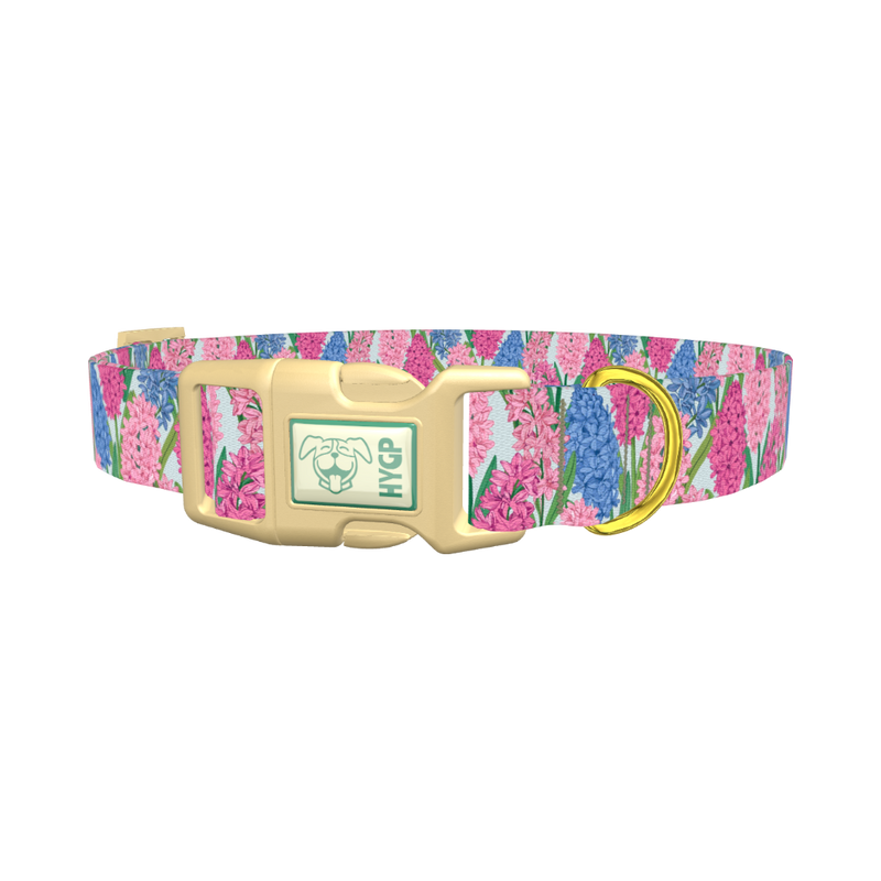 Floral Hyacinth Dog Collar - plastic gold