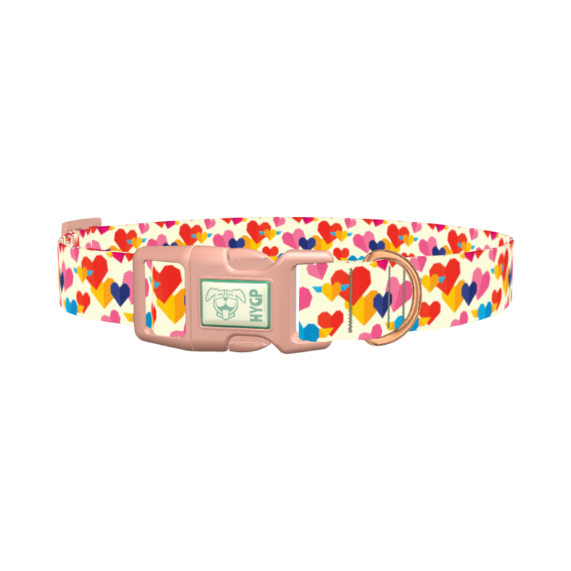 Winged Geometric Heart Dog Collar - plastic rose gold