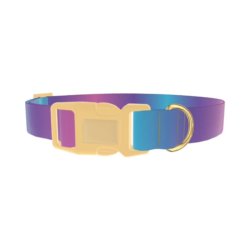 Blue Pink Ombre Dog Collar - plastic gold