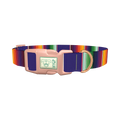 Colorful Stripes Dog Collar - plastic rose gold
