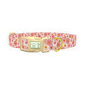 Chamomile Floral Dog Collar - plastic gold