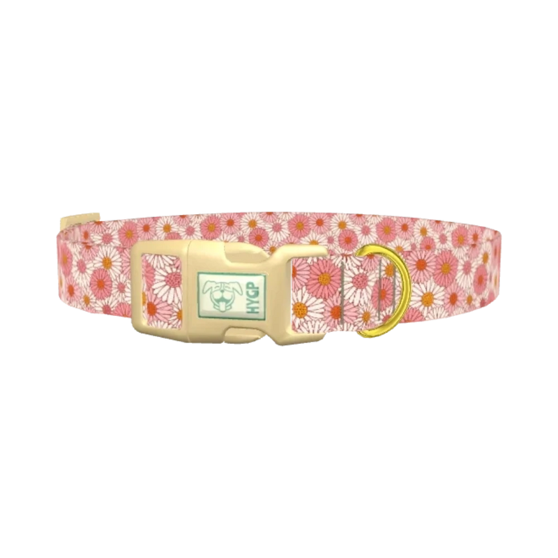 Chamomile Floral Dog Collar - plastic gold