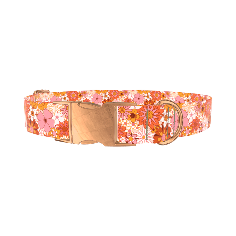 Retro Floral Burst Dog Collar - metal rose gold
