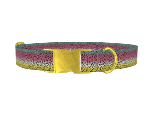 RAINBOW_TROUT